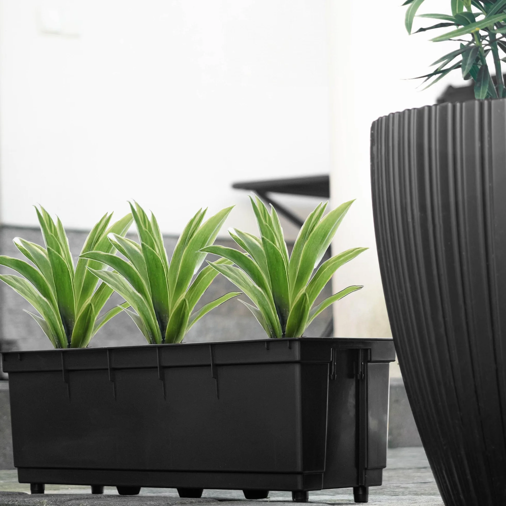 KADAX insert de 56 cm pour jardinière, insert en plastique noir, insert en plastique pour jardinière de balcon et jardinière, pot intérieur (56,5 x 19 cm)