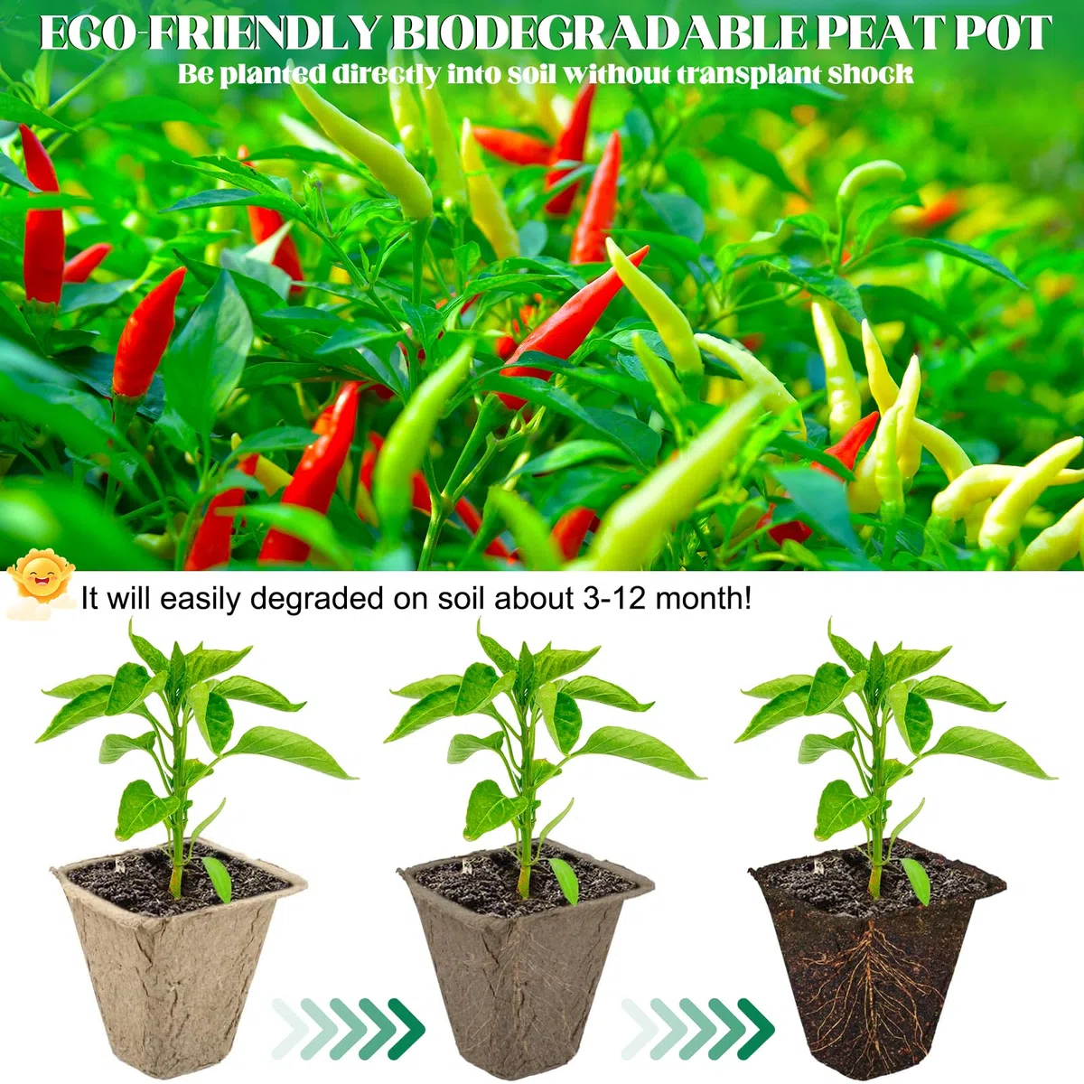 Plateaux de Semis Biodégradables 30 Pièces (10 Alvéoles) – Bacs à Semis Compostables en Fibre de Papier avec Trous de Drainage – Idéal pour Graines, Légumes, Fleurs et Jardinage Écologique