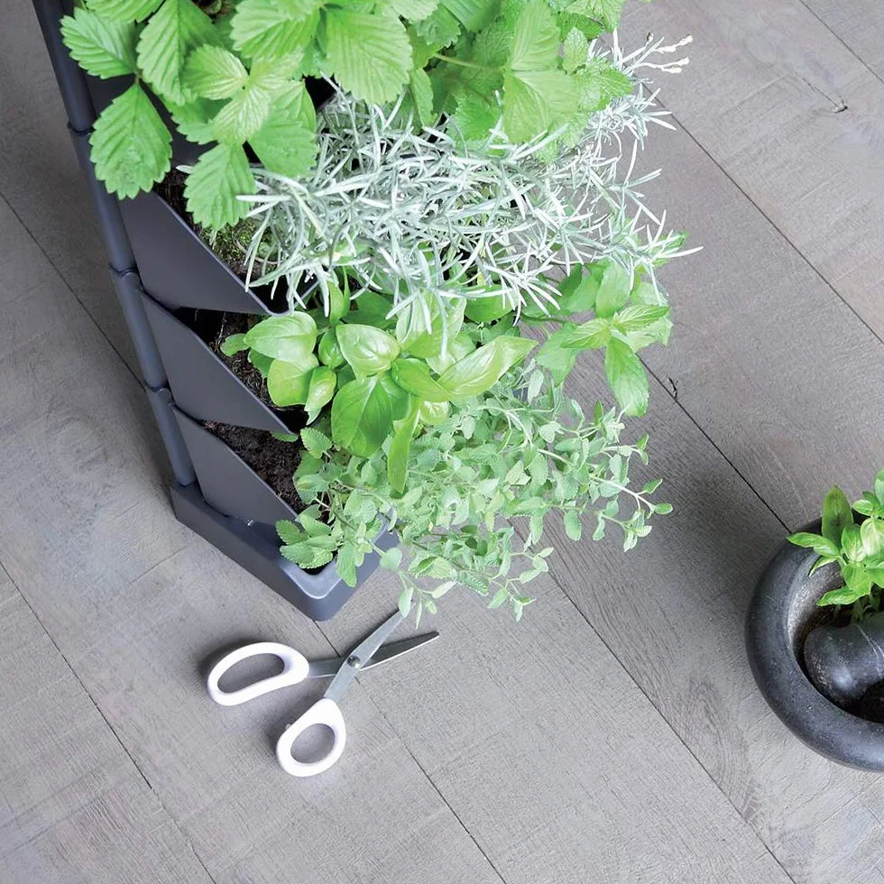 Jardinière verticale Prosperplast Mini Cascade en plastique de couleur anthracite 19,5 (L) x 11,4 (l) x 47,5 (H) cm avec ciseaux de jardinage