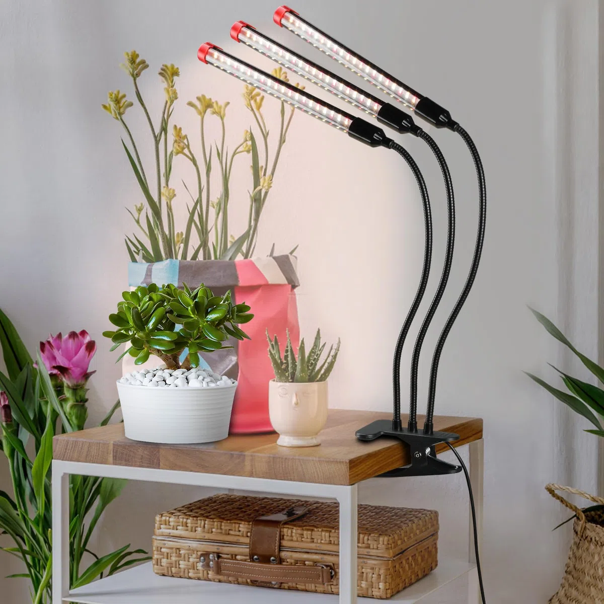 FECiDA Lampe de Croissance de Plantes d'intérieur 3000 lumens 27W, 2024 le plus Récent Clip Lampe de Croissance de Plantes d'intérieur, Lampe Végétale à Spectre Complet avec minuterie 4,8,12 Heures