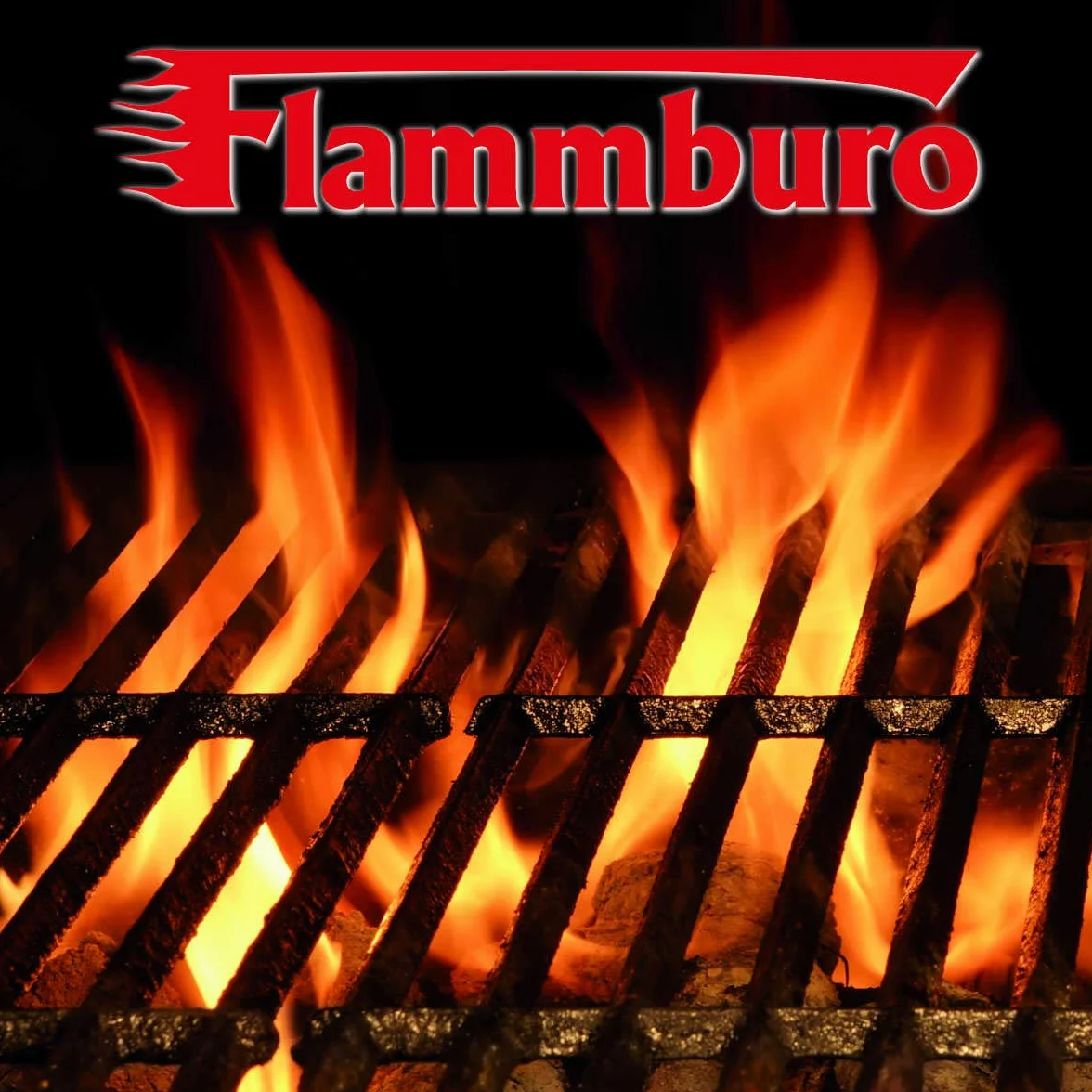 FLAMMBURO Grilles de barbecue rectangulaires 67 x 40 cm – Disponible en différentes tailles, en acier chromé, épaisseur de la tige 4,8 mm, grille de barbecue, grille de barbecue, barbecue (67 x 40 cm)