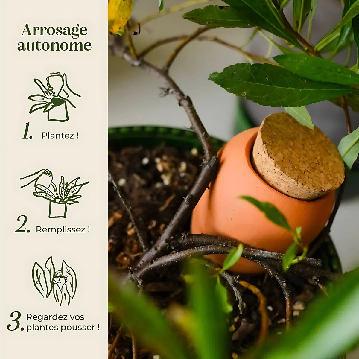 Pepin | Olla Terre Cuite à Planter | Arrosage Automatique et Ecologique pour Plante d'Intérieur et d'Extérieur | Système d'Irrigation Naturel | Autonomie d'Environ 1 Semaine | OYA Vert - 25cl