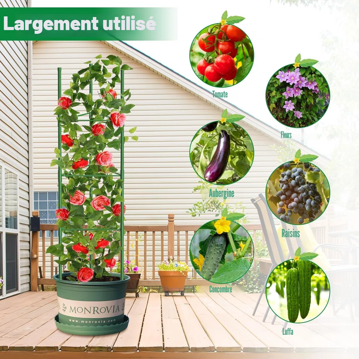 MQUPIN Tuteur Tomate,3pcs Cage à Tomates Support,130cm Vertical Cage à Tomates Treillis pour Jardin, piquets de Support pour Plantes grimpantes, légumes et Fleurs,Légumes et Fleurs