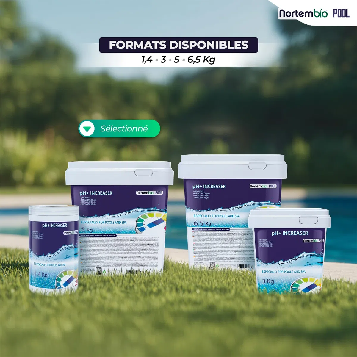 Nortembio pH Plus Piscine - Régulateur de pH pour piscines, 5 kg - pH+ Plus Piscine Naturel - Action Rapide et sûre - Une Eau cristalline + eBook Gratuit Contenant des Conseils de Professionnels
