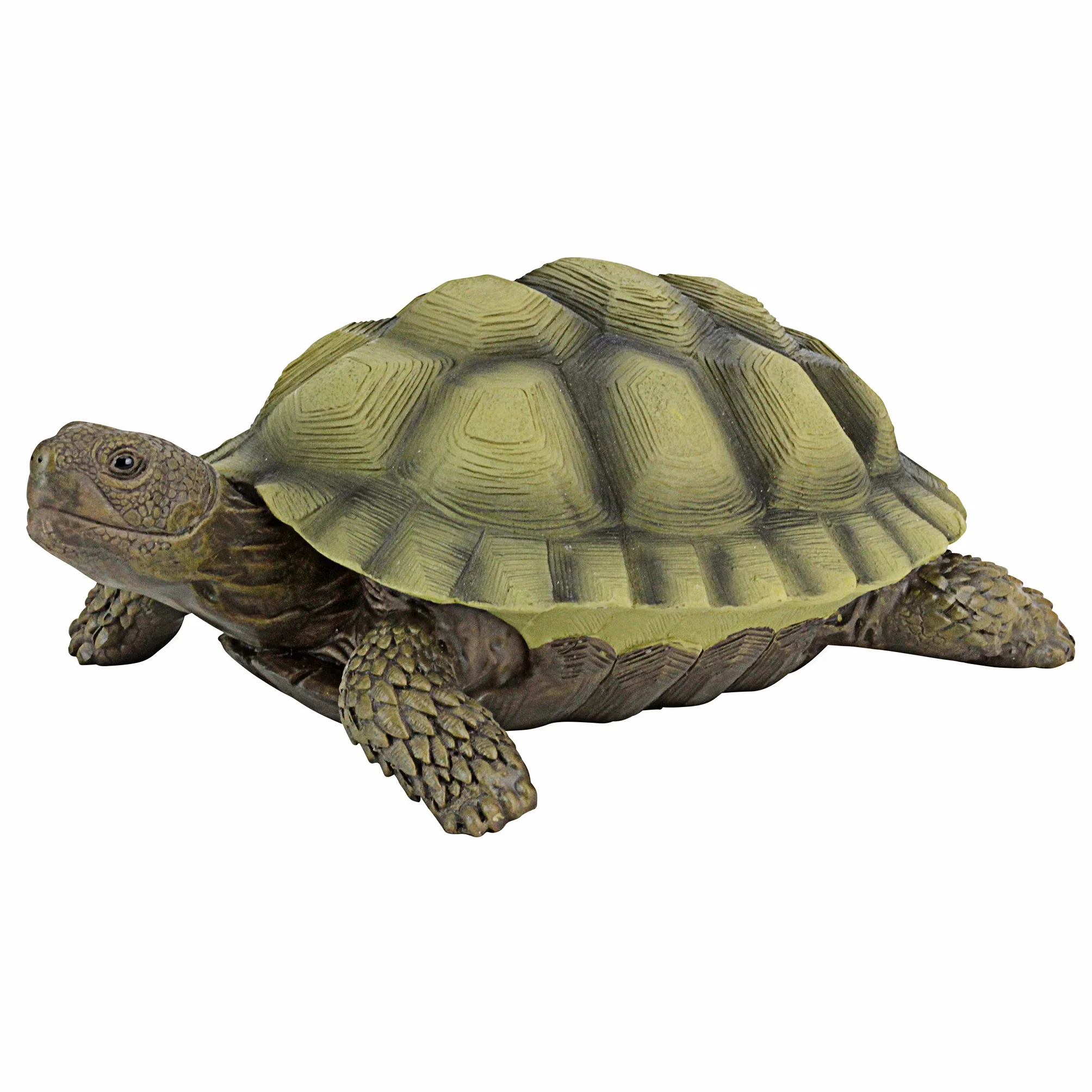 Design Toscano Gilbert la Tortue-Boîte Statue d'Animal de Décoration de Jardin, 22.75 cm, polyrésine, palette complète de couleur