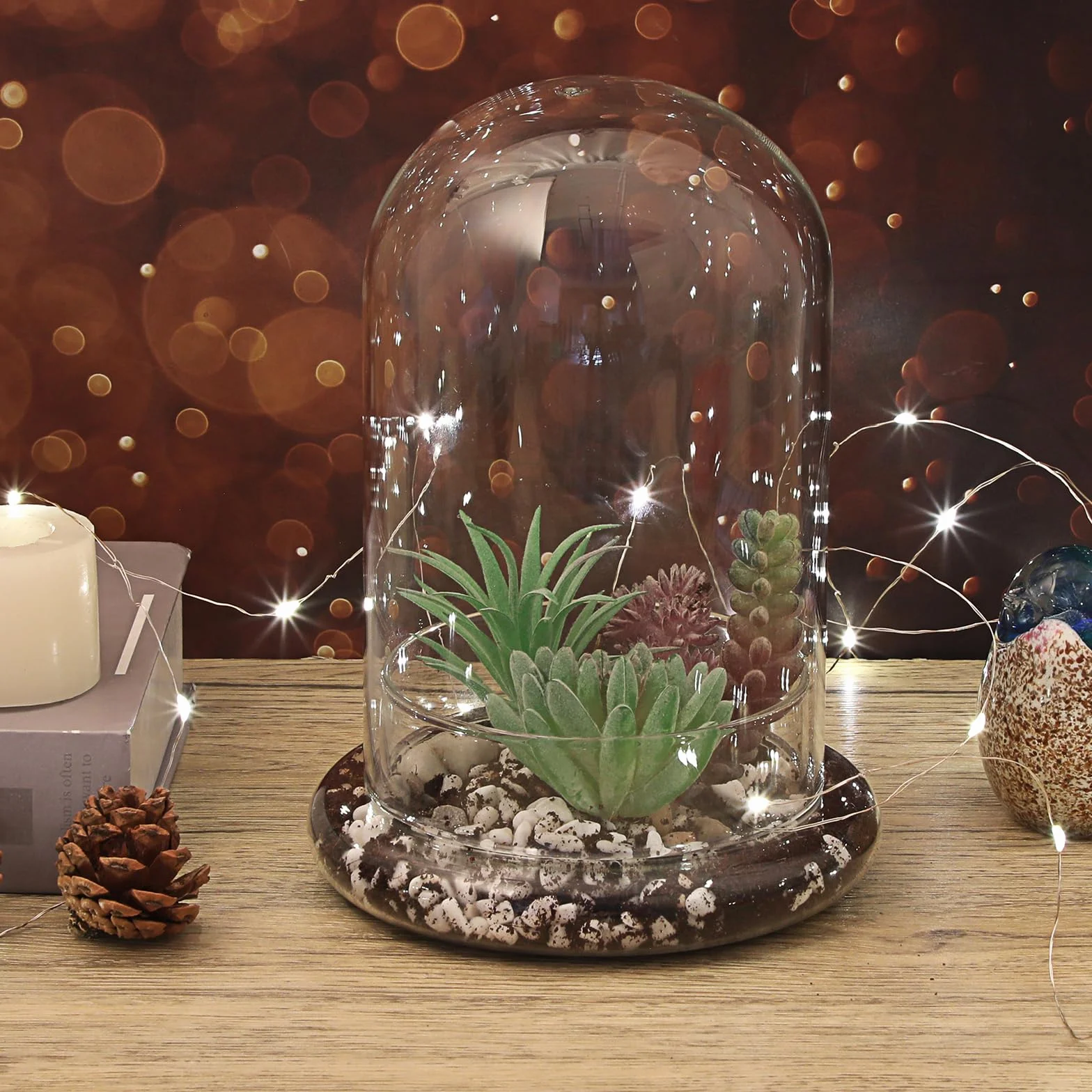 Mini pot de terrarium pour plantes succulentes - Dôme en verre transparent avec trou d'aération de 3 mm - Cloche décorative en verre avec fond en verre - Décoration de table pour bureau