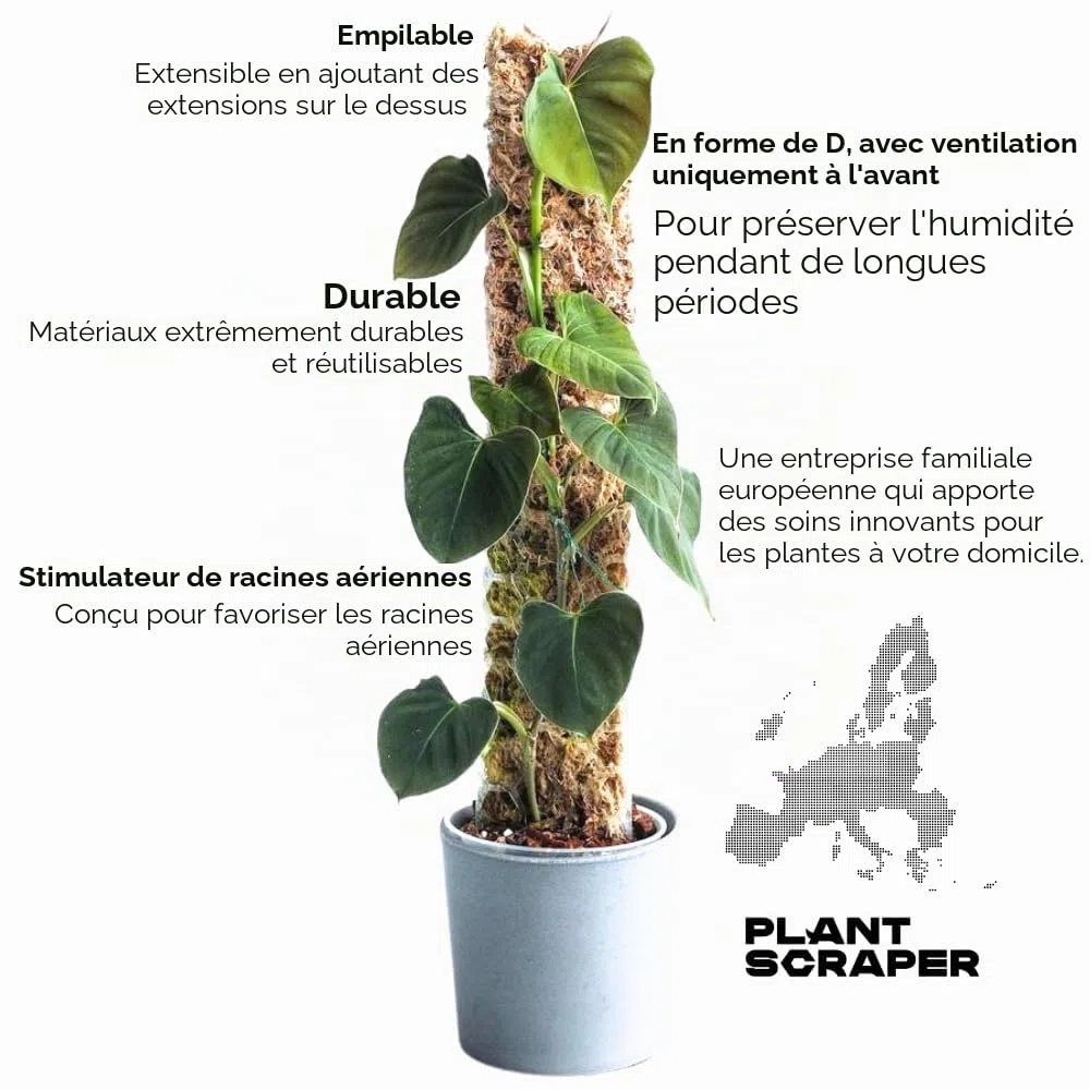 tuteur en sphaigne pour Monstera - Lot de 5 Tuteurs 39 x 6 cm Extensibles en Mousse de sphaigne - Idéal pour Monstera deliciosa et aroïdes - Supports en Mousse pour Plantes grimpantes