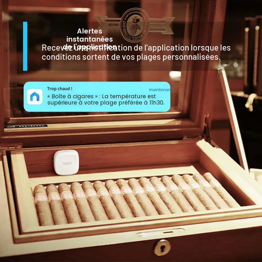 Tapo Hygromètre intelligent, thermomètre et hygromètre, stockage de données gratuit, notifications en temps réel, batterie incluse, fonctionne avec Alexa et Google Home, concentrateur Tapo requis