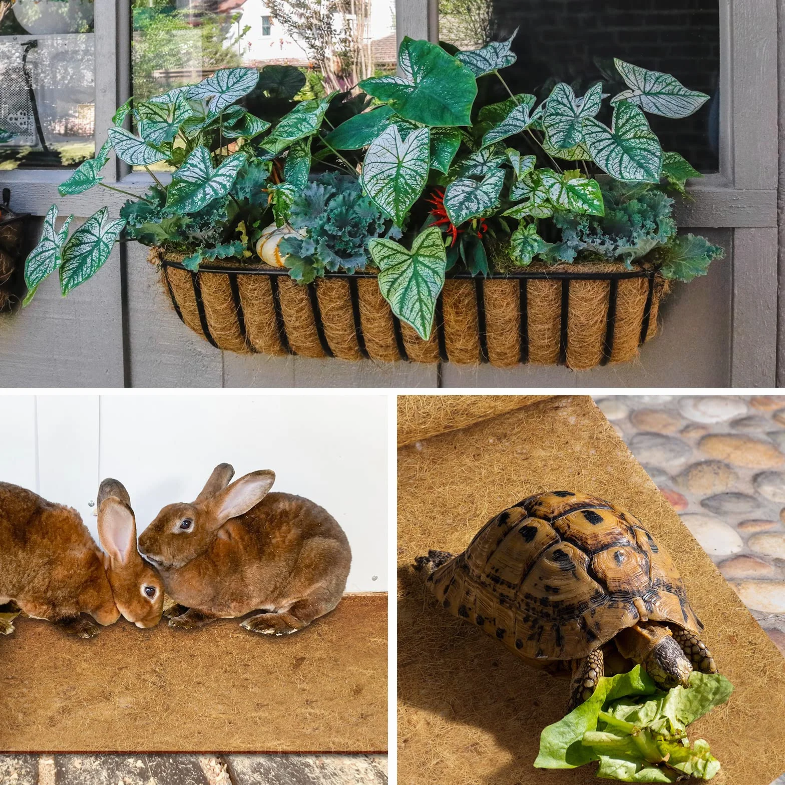 Coco Liner Rouleau de revêtement en Fibre de Coco pour Panier à Suspendre, Remplissage de Pot de Fleurs, Tapis de Culture en Noix de Coco épais pour jardinières,Reptiles (300 x 40 cm)
