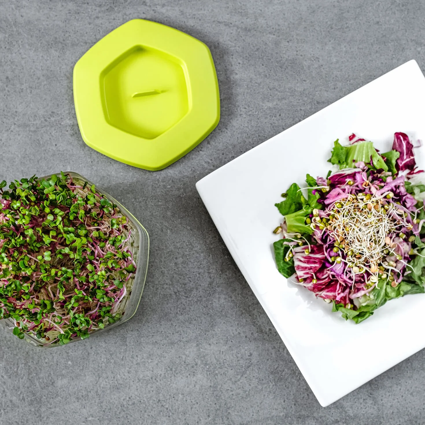 Flower Lover Germoir pour Graines à Germer et Micro-pousses - Microgreens Coupelle de Germination à 3 Étages - Set de 3 Bacs de Germination en Plastique, 17 cm (Avocat)
