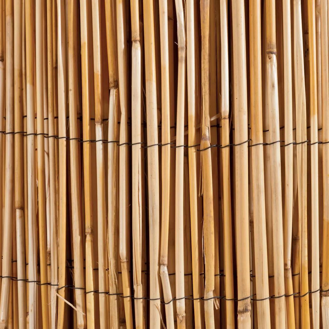 WERKA PRO Canisse en Roseau Naturel 1 x 5 m