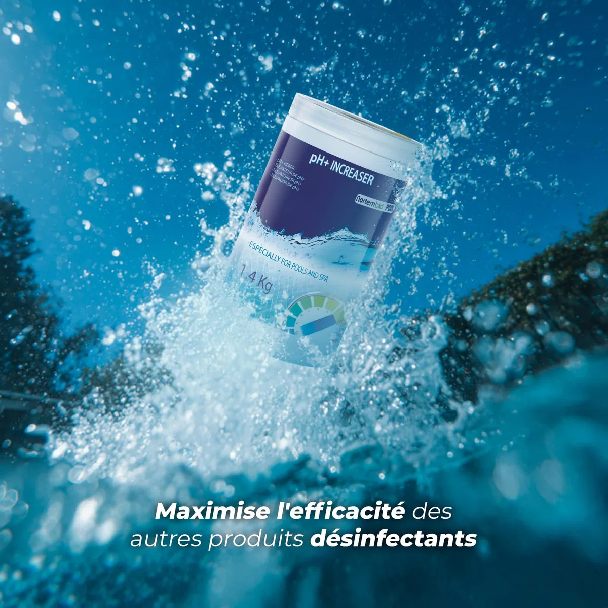 Nortembio pH Plus Piscine - Régulateur de pH pour piscines, 5 kg - pH+ Plus Piscine Naturel - Action Rapide et sûre - Une Eau cristalline + eBook Gratuit Contenant des Conseils de Professionnels
