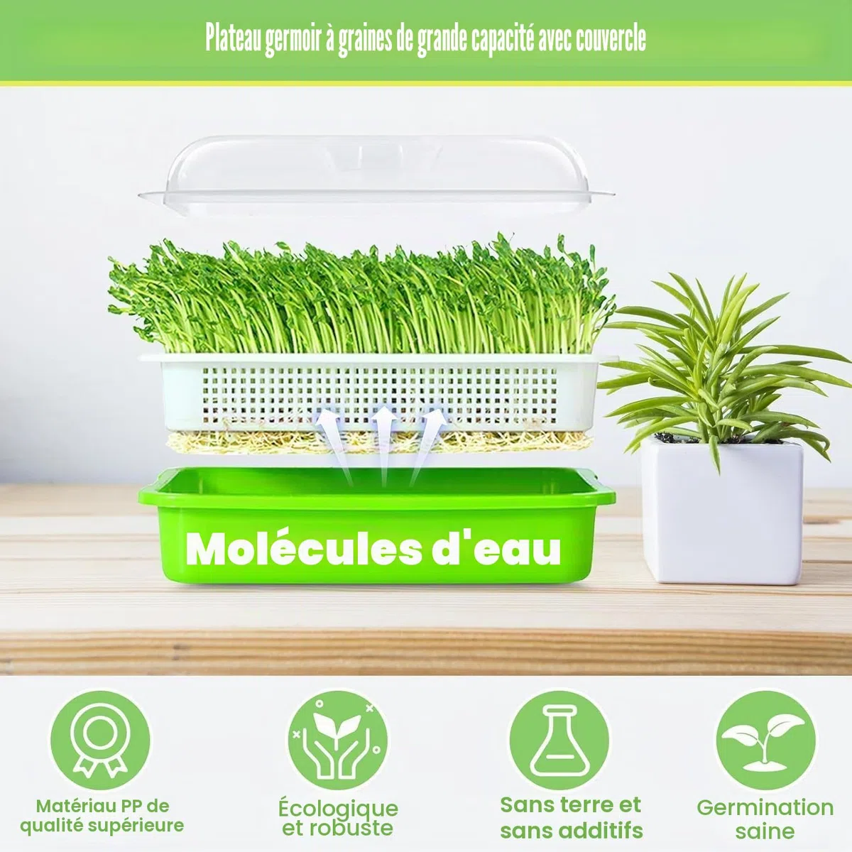 KAHEIGN 4 Pièces Plateaux de Germination de Graines avec Couvercle, 32CM x 26CM Plateau de Germination de Grande Capacité Propagateur Hydroponique Sain sans BPA avec 24 Papiers de Plantation