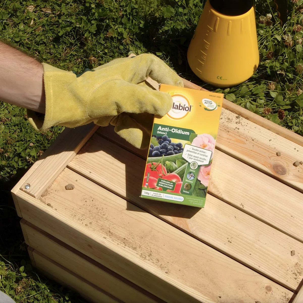 SOLABIOL Anti-Oïdium Blanc - 33L de Solution - 100g | Action Préventive & Curative - Efficace sur Oïdium & Tavelure - Utilisable en Agriculture Biologique - SOARMI100