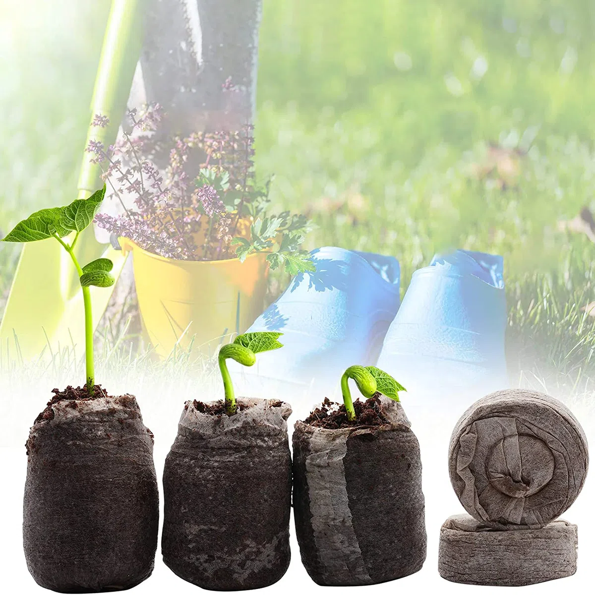 Woohome 202 PCS Pots Biodégradables et Pastilles de Tourbe pour Semis, Pot de Semis en Fibre Biodégradable, Pastilles de Tourbe Compressée, Outil de Sol Meuble pour Plantes de Jardin Marron