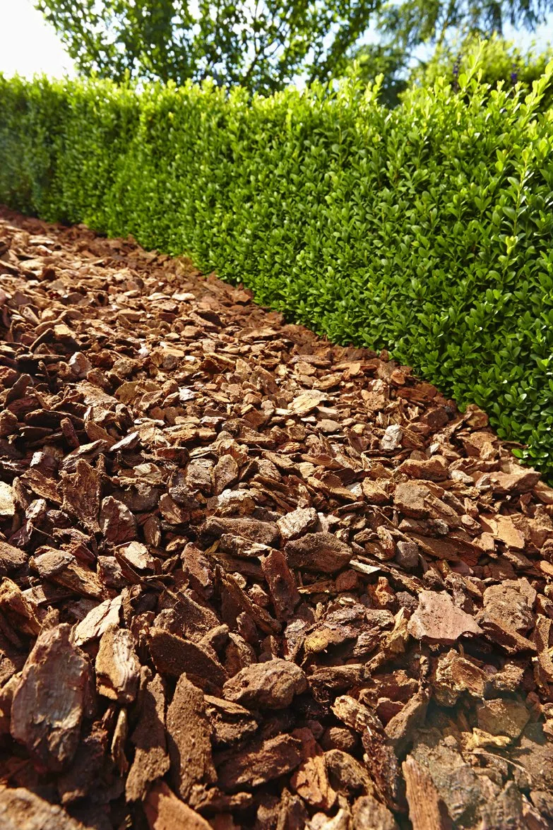 Floragard Mulching Pins écorce 25–40 mm 60 l, 114882