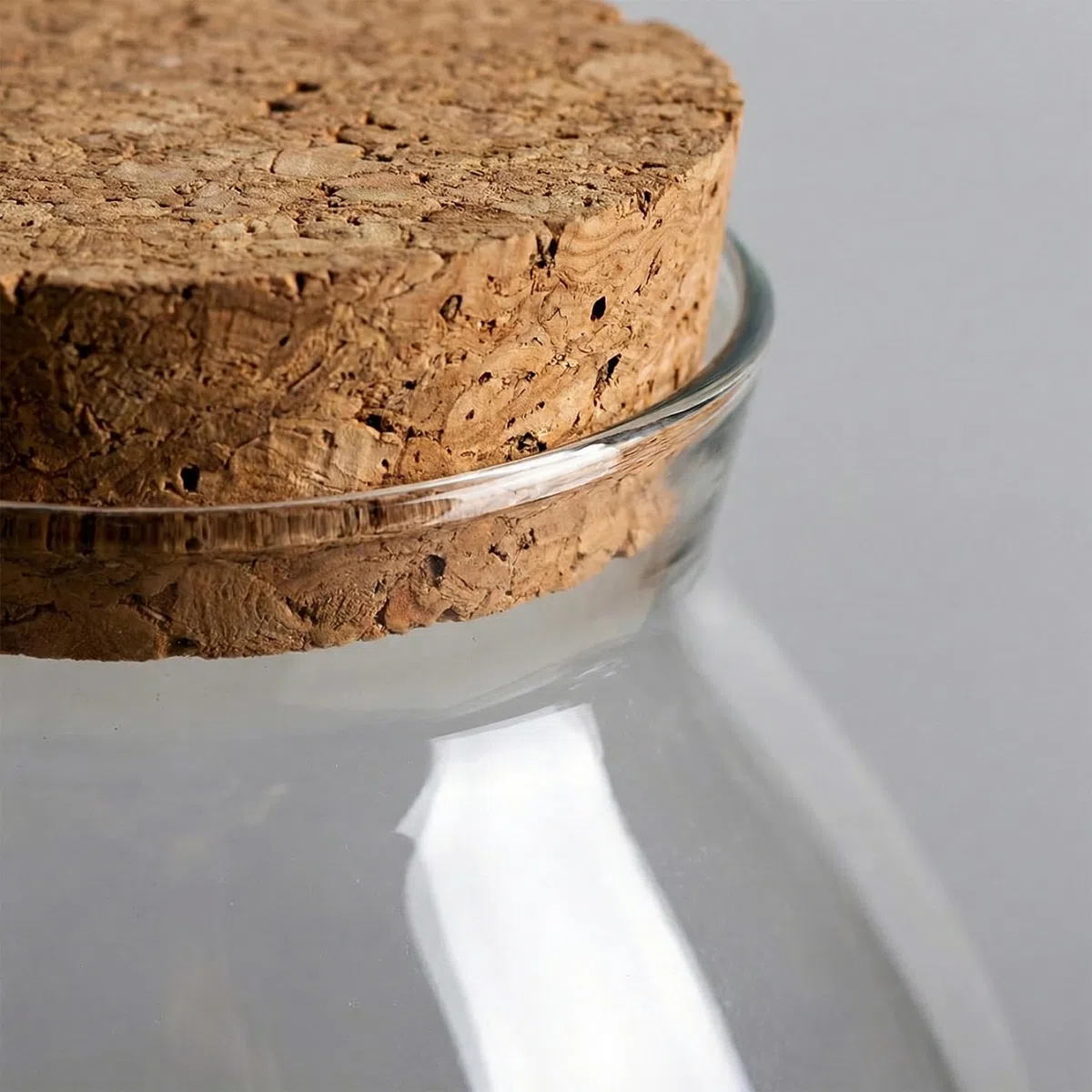 Pot de Terrarium, Terrarium de Plantes en Verre 1800 ML, récipient fermé avec Couvercle en liège pour Plantes succulentes, récipient Vase Bol à Poisson