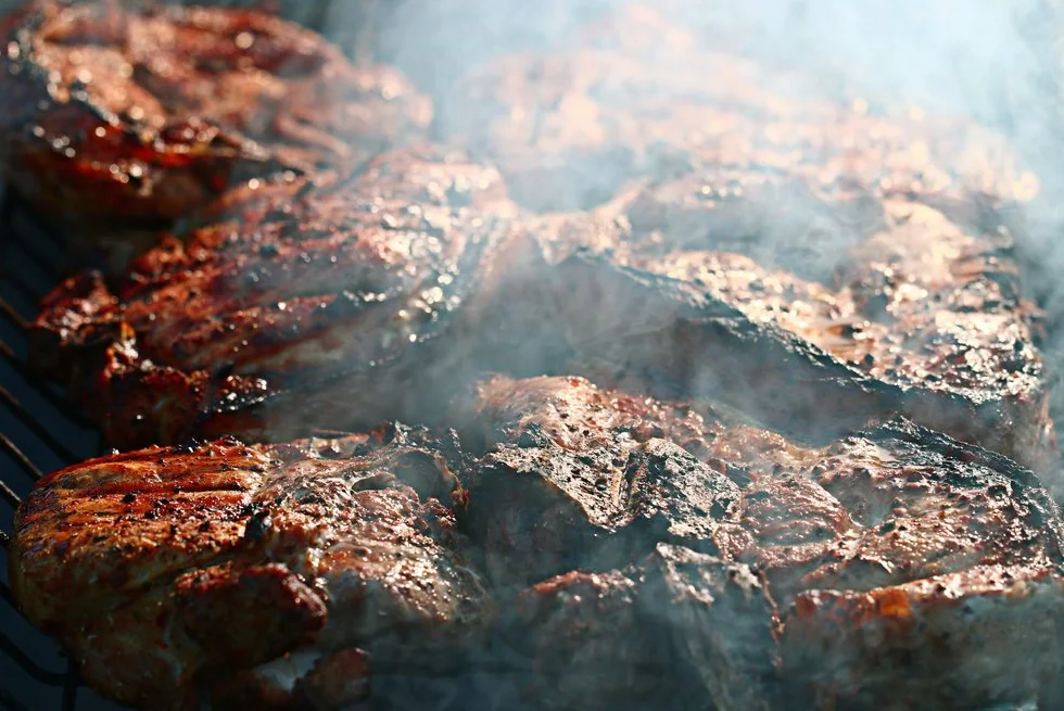 Copeaux de bois de fumage pour barbecue et fumoir 5 litres 100 % naturel issu de forêts polonaises hêtre