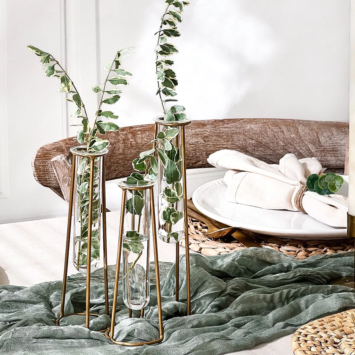 Kate Aspen Station de Propagation terrariums avec Support en métal doré – 3 Tubes à essai en Verre pour Plantes d'intérieur