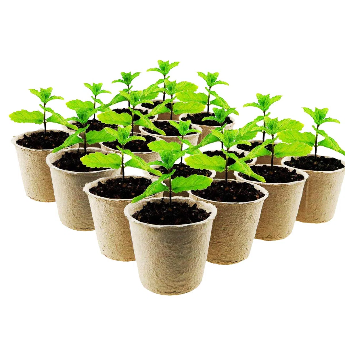 Woohome 202 PCS Pots Biodégradables et Pastilles de Tourbe pour Semis, Pot de Semis en Fibre Biodégradable, Pastilles de Tourbe Compressée, Outil de Sol Meuble pour Plantes de Jardin Marron