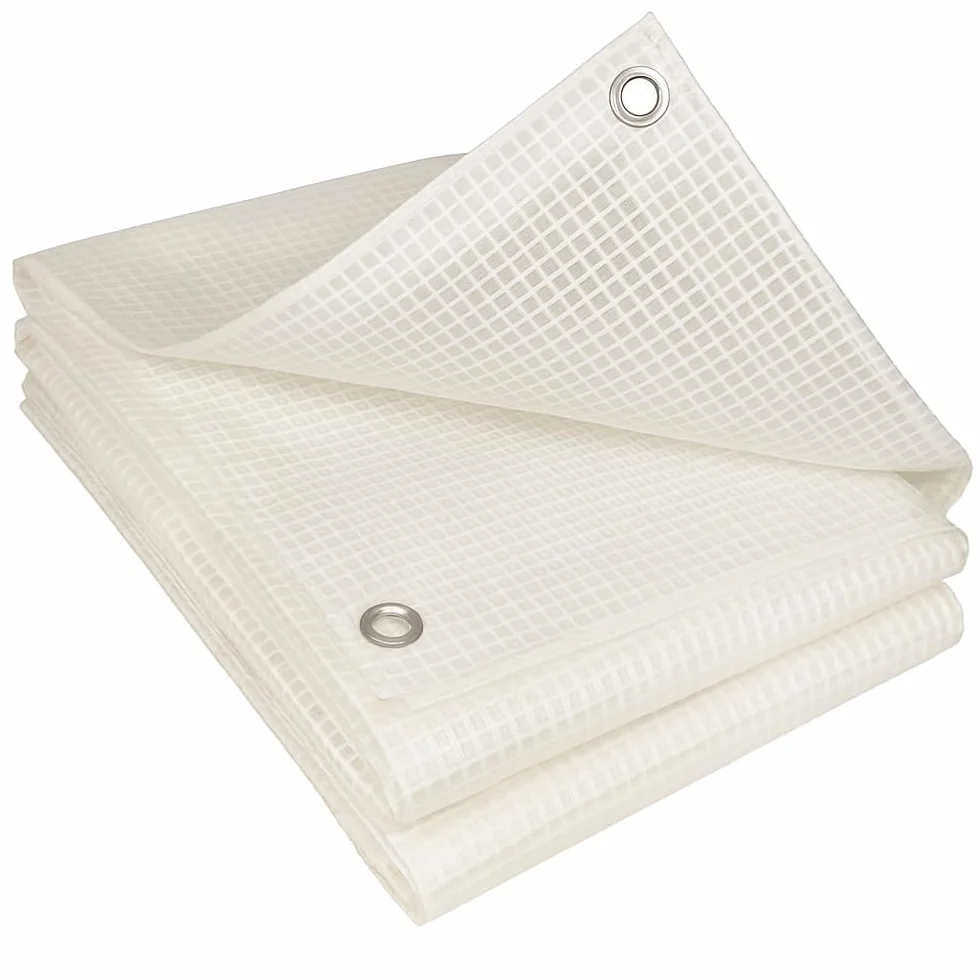 TERRE JARDIN Bâche de Protection, Extérieur Polyéthylène 160g/m² - Bâche Armée Imperméable, Ultra Résistante Découpable, Anti UV - Œillets Aluminium - Mobilier Serre Jardin - 4 x 6 - Transparent