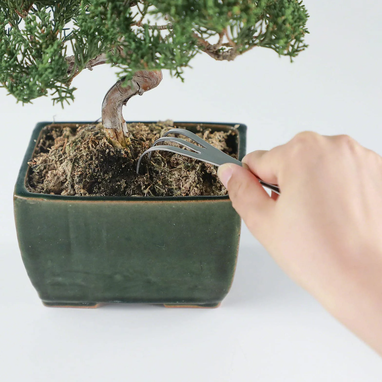 Wazakura Pincette à Feuilles 2 en 1 en Acier Inoxydable pour Bonsaï, Plantes, Jardinage avec Râteau,Accessoire Japonais de Précision Fabriqué au Japon, 220 mm,