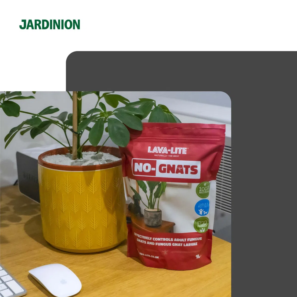 1l Granulés anti-moucherons, 100% naturel, contre mouches dans le terreau