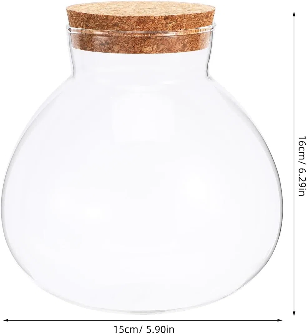 DOITOOL Pot rond en verre pour terrarium, plantes succulentes, bourgeons, vase à vœux, bouteille avec couvercle en liège, pot à bonbons, pot en verre pour fougère, mousse, plantes succulentes