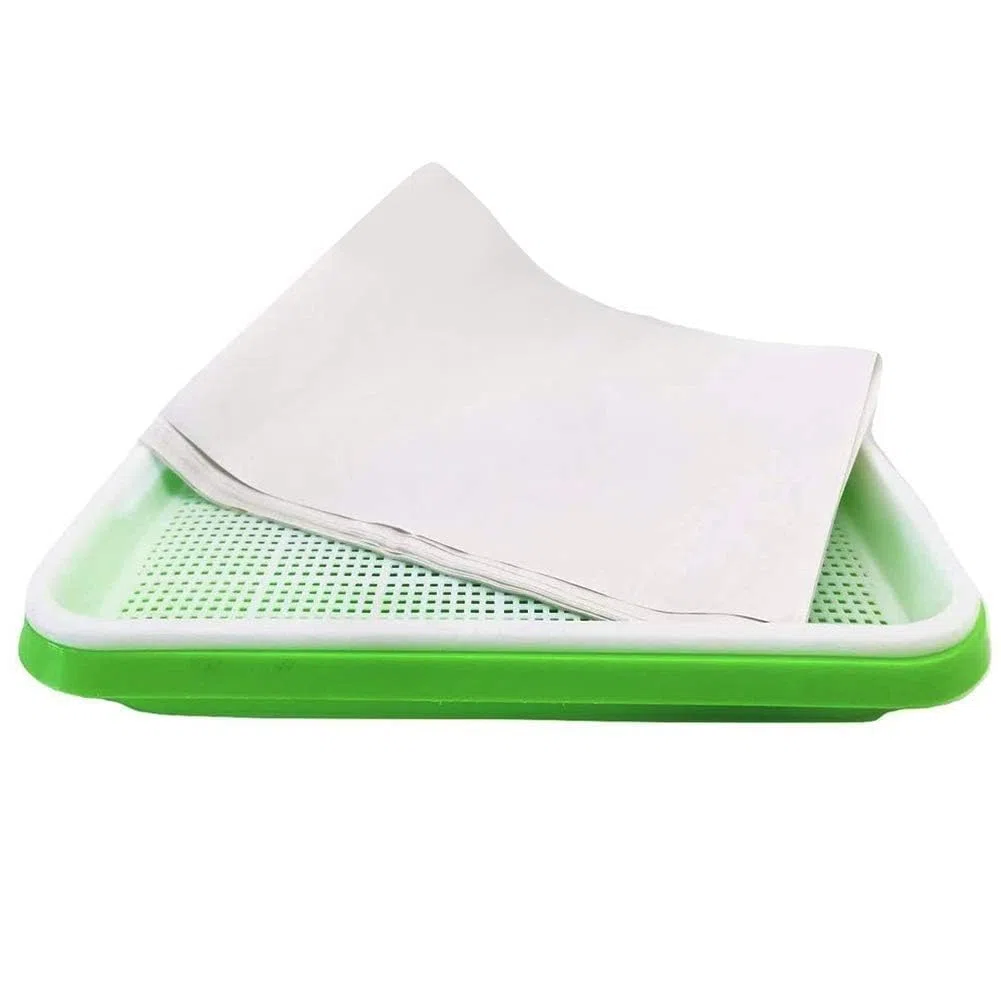 6 Plateaux de Germination 34×25 cm, Germoir pour graines à germer, 24 Feuilles incluses, Micro pousses avec Drainage Fin Anti-moisissure, pour Luzerne blé Radis et Haricots Mungo