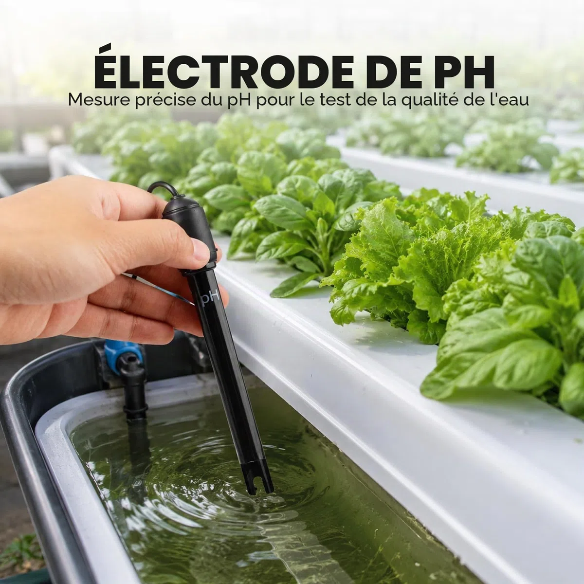 Longue Corps pH Électrode avec BNC Prise Sonde 300cm Câble 0-14pH pour pH Mètre, pH Manette pH Dispositif Économique Capteur