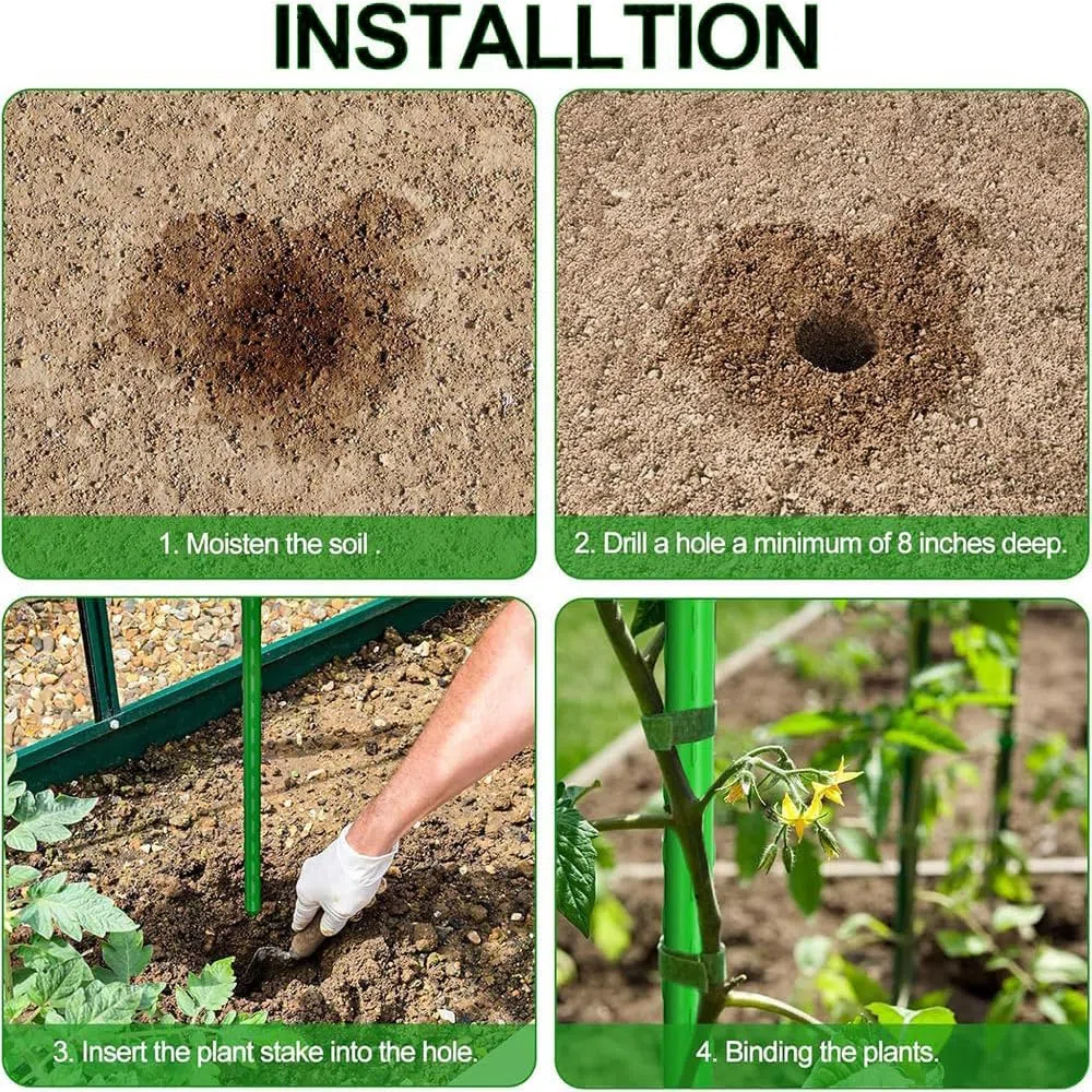 Lot de 30 tuteurs pour plantes grimpantes - Tube en acier inoxydable revêtu de plastique - 40 cm de diamètre - 11 mm de diamètre - Avec 20 connecteurs et 30 clips multifonctions - Tuteur pour pois