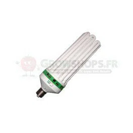 Ampoule CFL Superplant 300W 2100K - Floraison