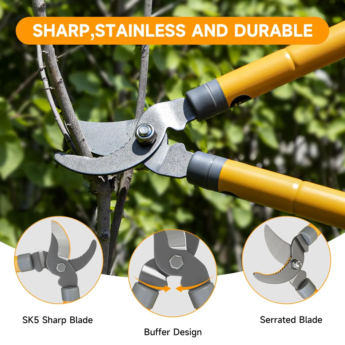 AIRAJ Coupe Branche Télescopiques 42-61cm, Coupe-Branche à Contre-lame avec Lame SK5 et Revêtement Anti-Adhésif-Coupe Propre Jusqu'à 3.5cm, Sécateur de Jardin Pour Branches Sèches et Humides