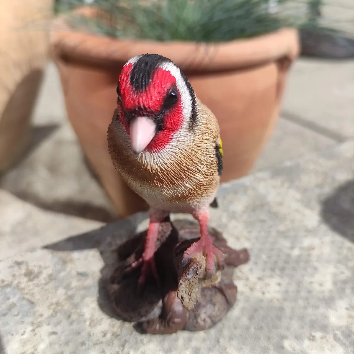 Vivid Arts WBC-GOLF-F Décoration pour la maison ou le jardin en résine en forme d’oiseau chardonneret