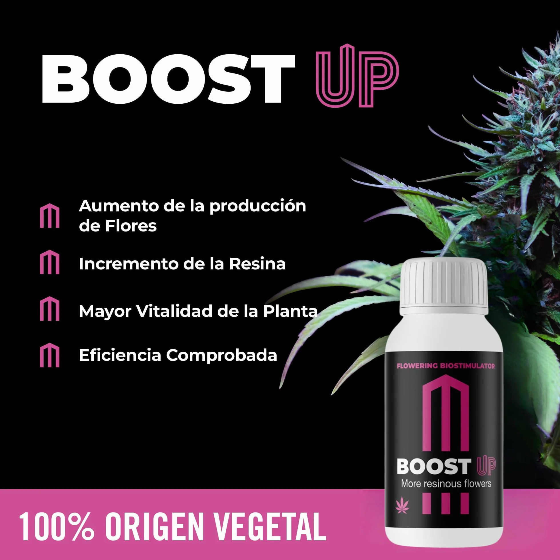 GROWMANIA Top Max de BioBizz 500 ml + Probe Boost Up de Up Nutrients + Cuillère à mesurer | Stimulateur de fleurs pour jardins urbains | Augmente la quantité et la taille des fleurs
