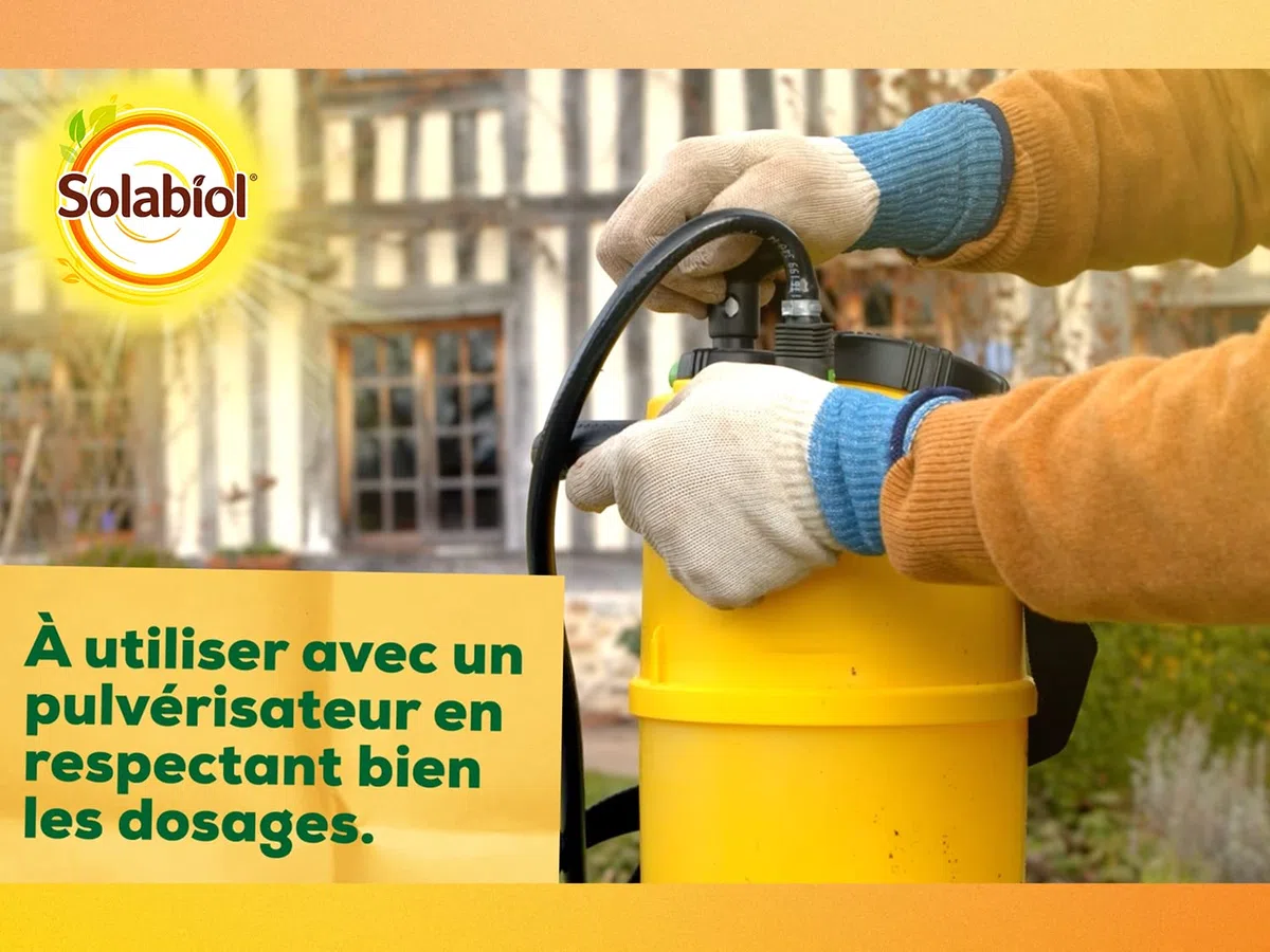 SOLABIOL Anti Cochenilles - 500ml - 25L De Solution - Élimine Oeufs Larves & Adultes - Effets Rapides En 24/48H - Utilisable En Agriculture Biologique SOCOC500