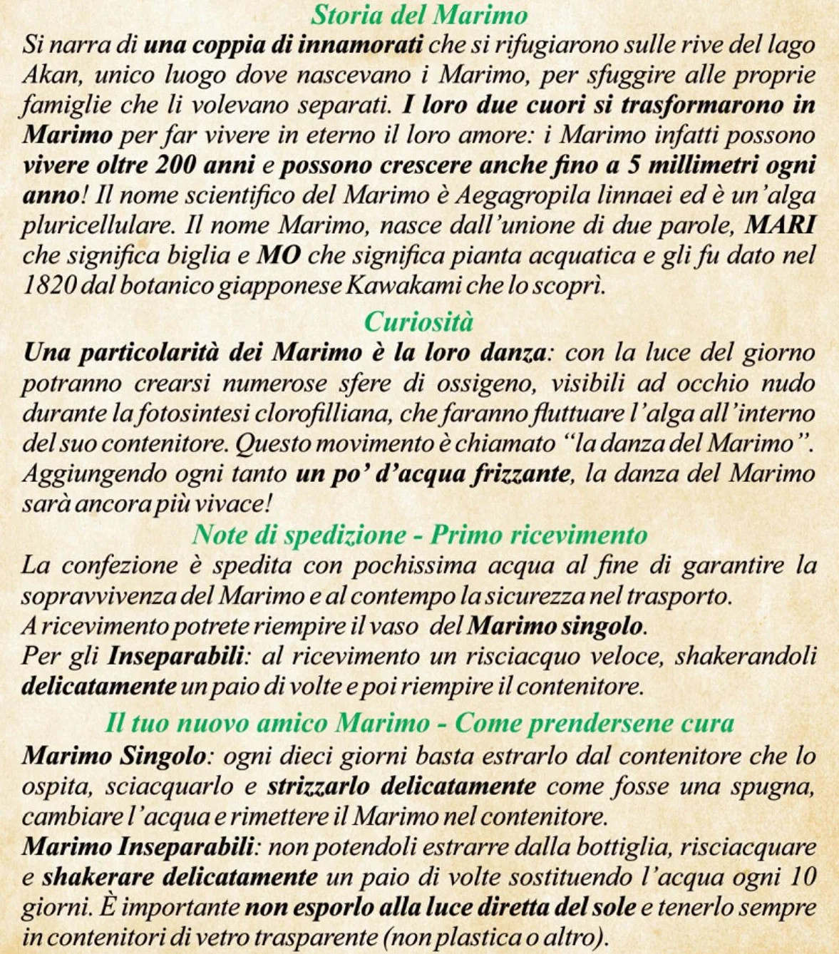 Paire de Marimo, Plante Aquatique sélectionnés et propres dans une bouteille en verre de 500 ml avec instructions d'entretien et signe historique