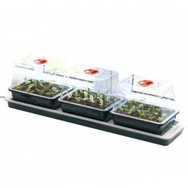 Trio de serres chauffantes - 76 x 18 x 20,5 cm - Garland germination-bouturage