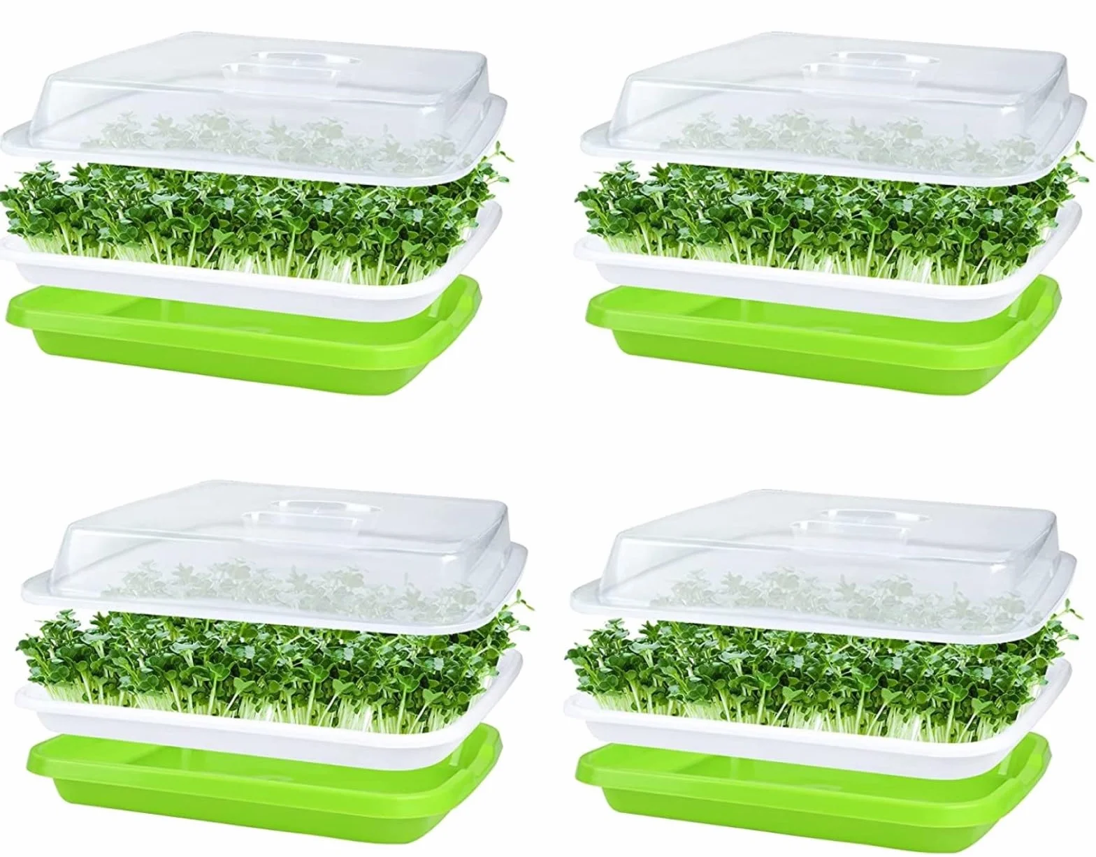 KAHEIGN 4 Pièces Plateaux de Germination de Graines avec Couvercle, 32CM x 26CM Plateau de Germination de Grande Capacité Propagateur Hydroponique Sain sans BPA avec 24 Papiers de Plantation