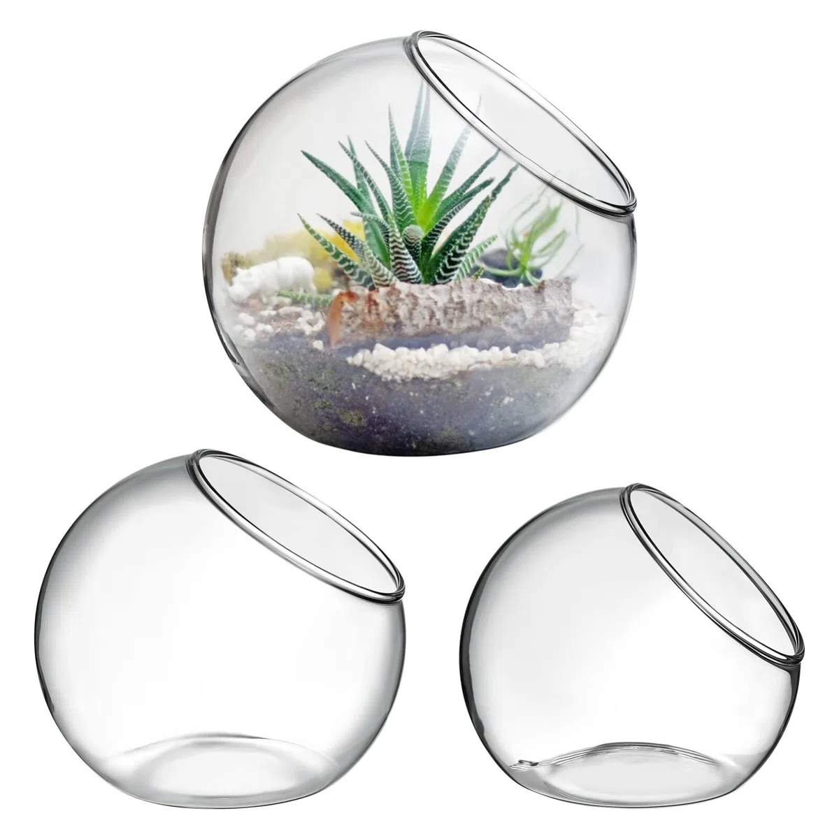 Toddmomy 3 Pcs Verre Clair Air Plante Terrarium Succulent Cactus Plante Vases Terrarium Pot Pot De Bonbons Récipient Floral Bol Incliné pour Fête De Mariage Événement Décor De Bureau À