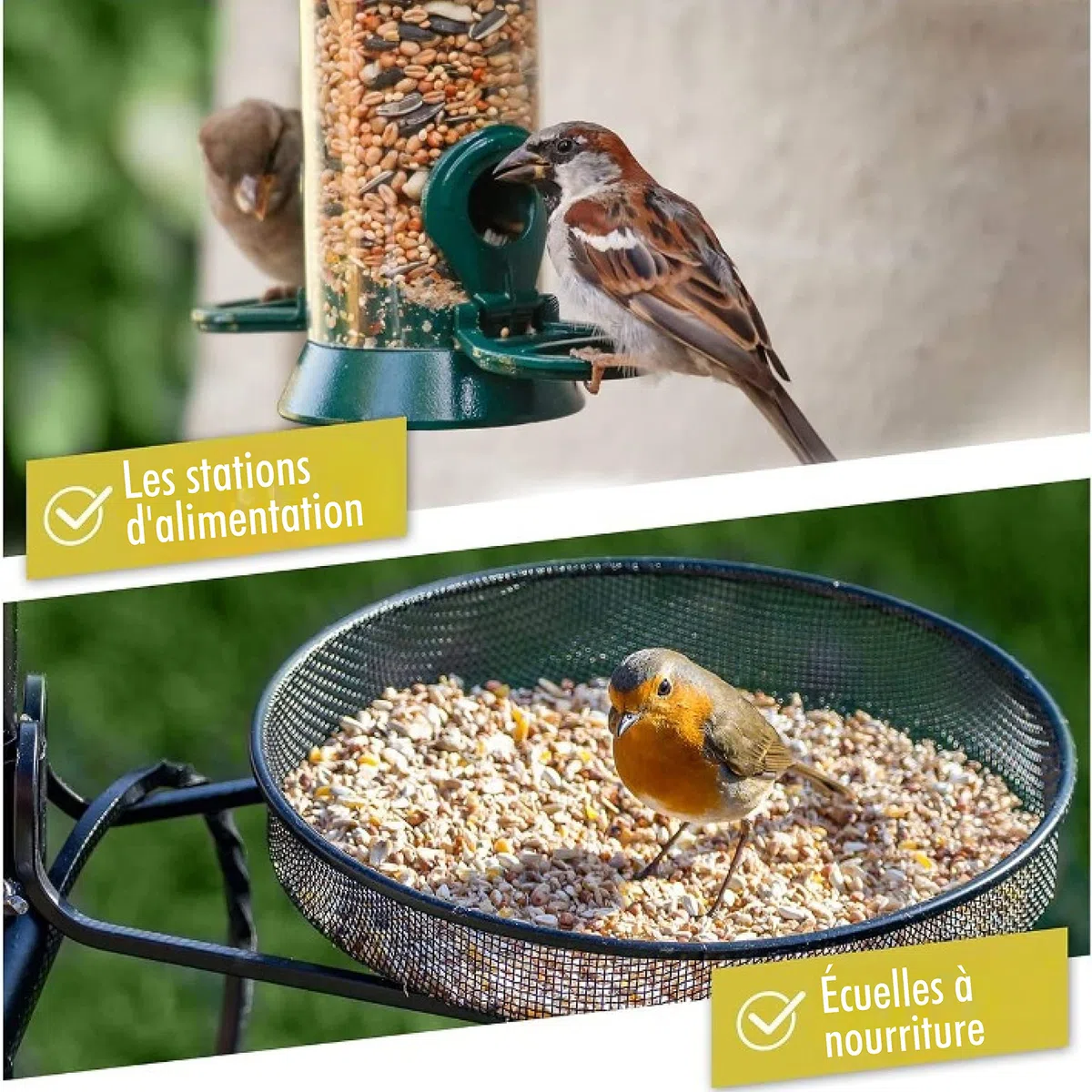 Rêve d'Oiseau - Graines pour Oiseaux Sauvages sans Blé, Nourriture Vivaces Extérieur (2,5kg)
