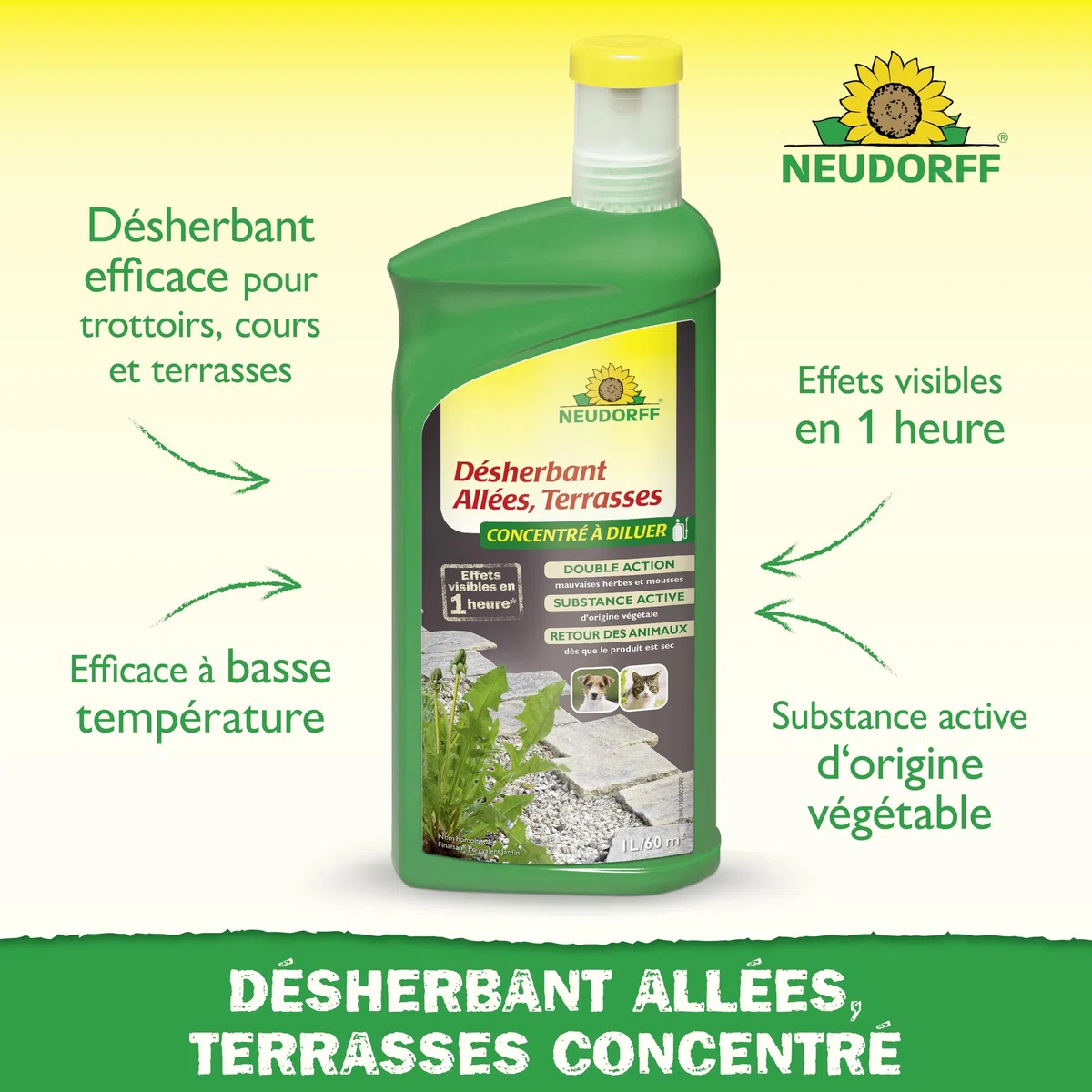Neudorff Finalsan Désherbant Allées, Terrasses – Désherbant puissant sans glyphosate, action rapide sur mauvaises herbes et mousses, 1 L