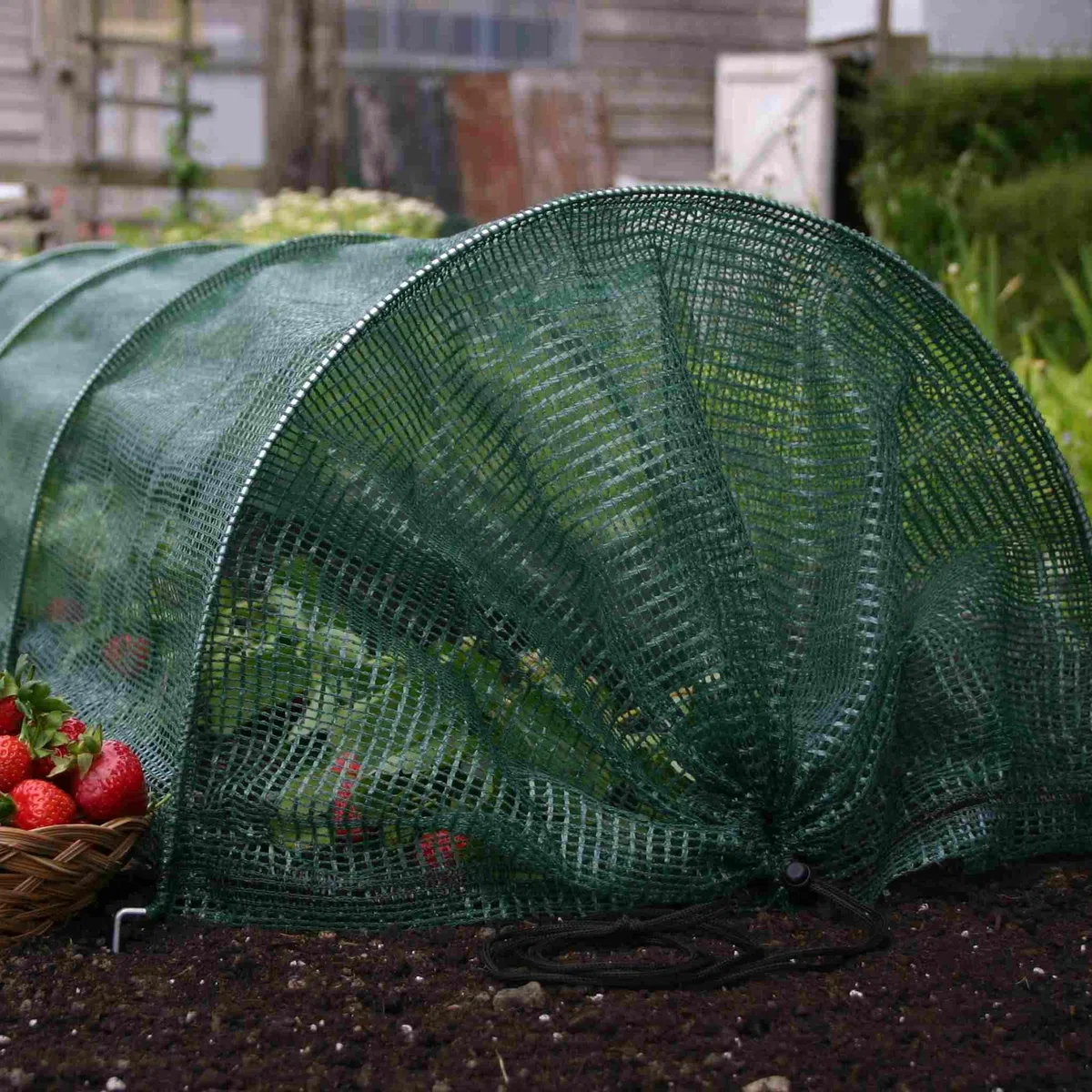 Bosmere Haxnicks Etun040101 Easy Tunnel, Serre Chenille, Blanc, 300 cm x 45 x 30 cm Tunnel à Filet Facile 300x45x30 cm Green