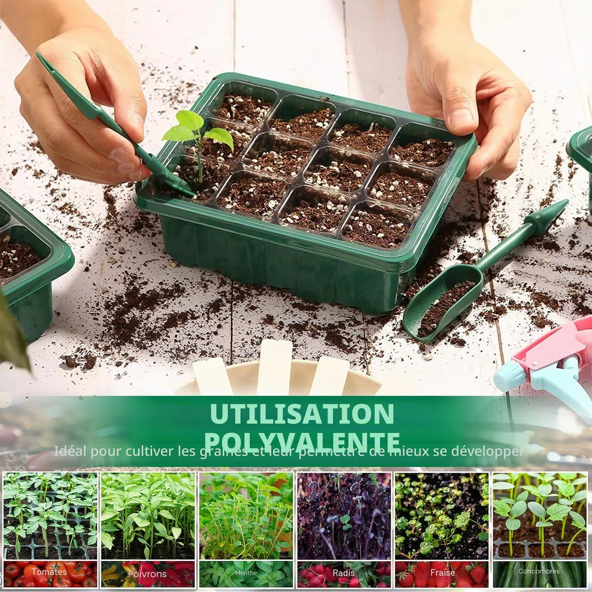 MOYKSRR Mini Serre pour Plantes, 10 Pièces 120 Cellules Intérieure Plateau Semis avec Dôme De Ventilation Et Socle, 20 étiquettes De Plantes, Serre Intérieure Pépinière Boîte Propagateur Jardin