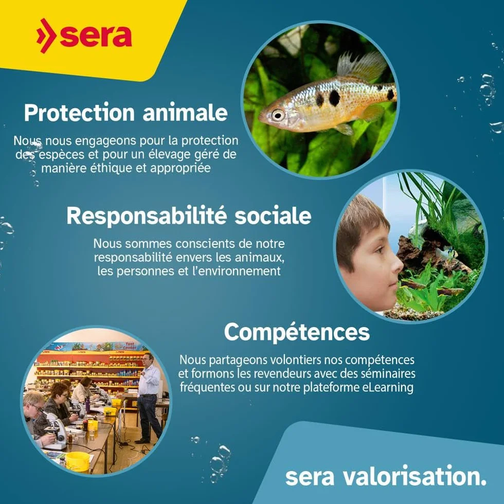 sera koi royal medium 3,8 L (1 kg) | aliment composé pour une croissance équilibrée des koïs de 12 à 25 cm | granulés flottants 3.800 ml 1.000 g | approprié pour l’alimentation tout au long de l’année