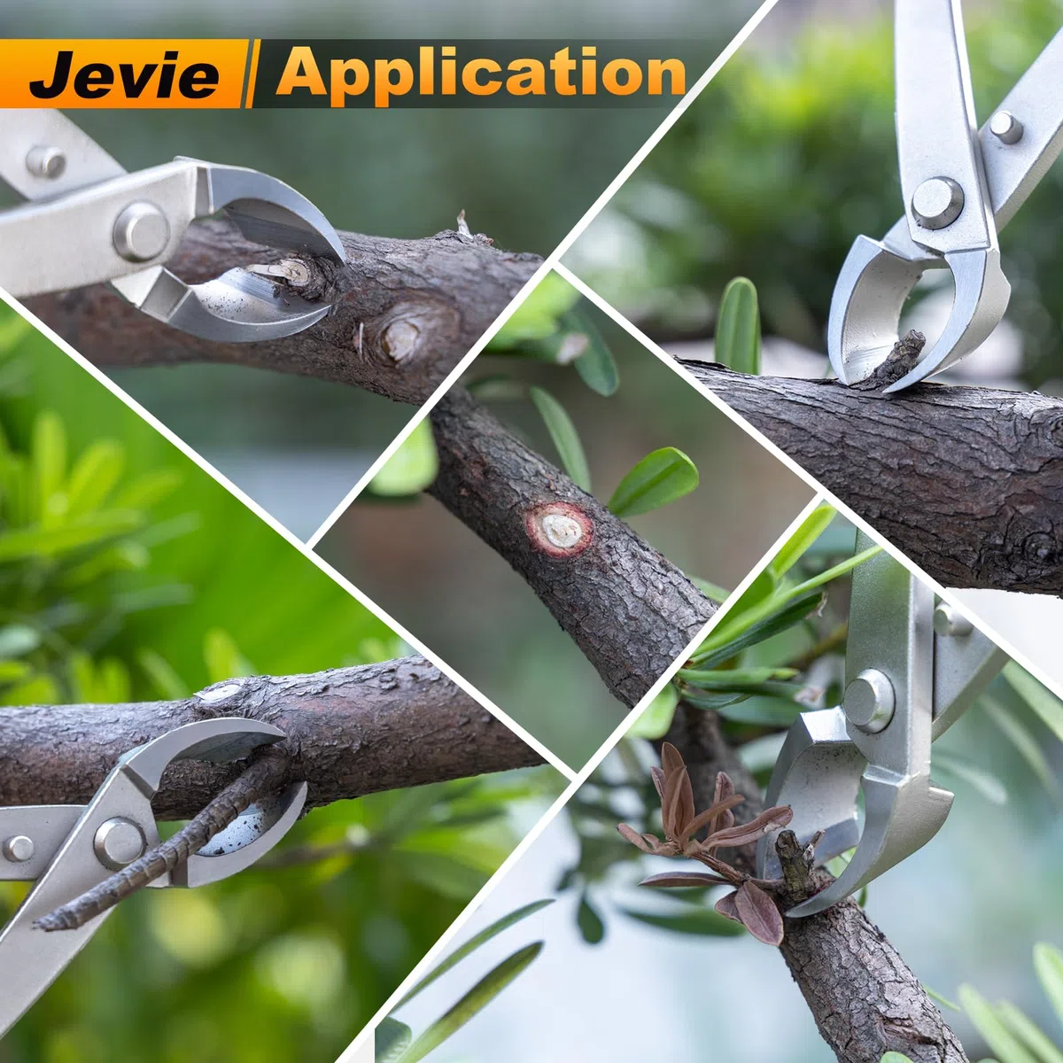Jevie Cutter concave en acier inoxydable pour bonsaï et jardinage 20,3 cm