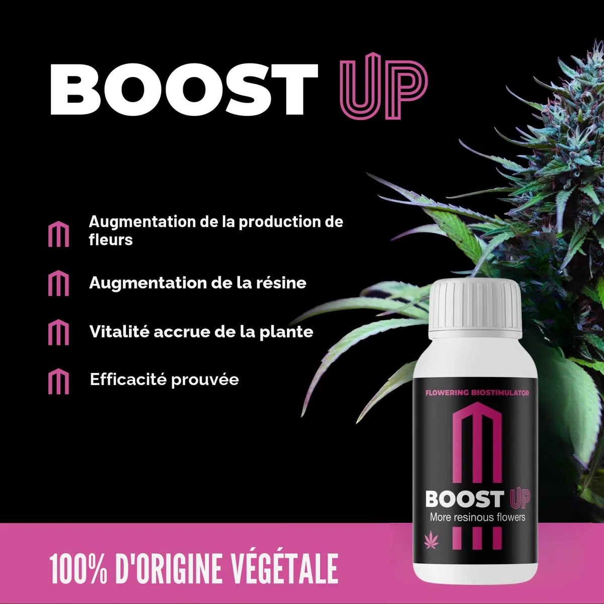 GROWMANIA Bio Bloom de BioBizz 1L + Échantillon Boost Up de Up Nutrients + Verre Doseur | Biobloom Engrais Organique pour une Floraison Complète | Convient à Tous Types de Plantes