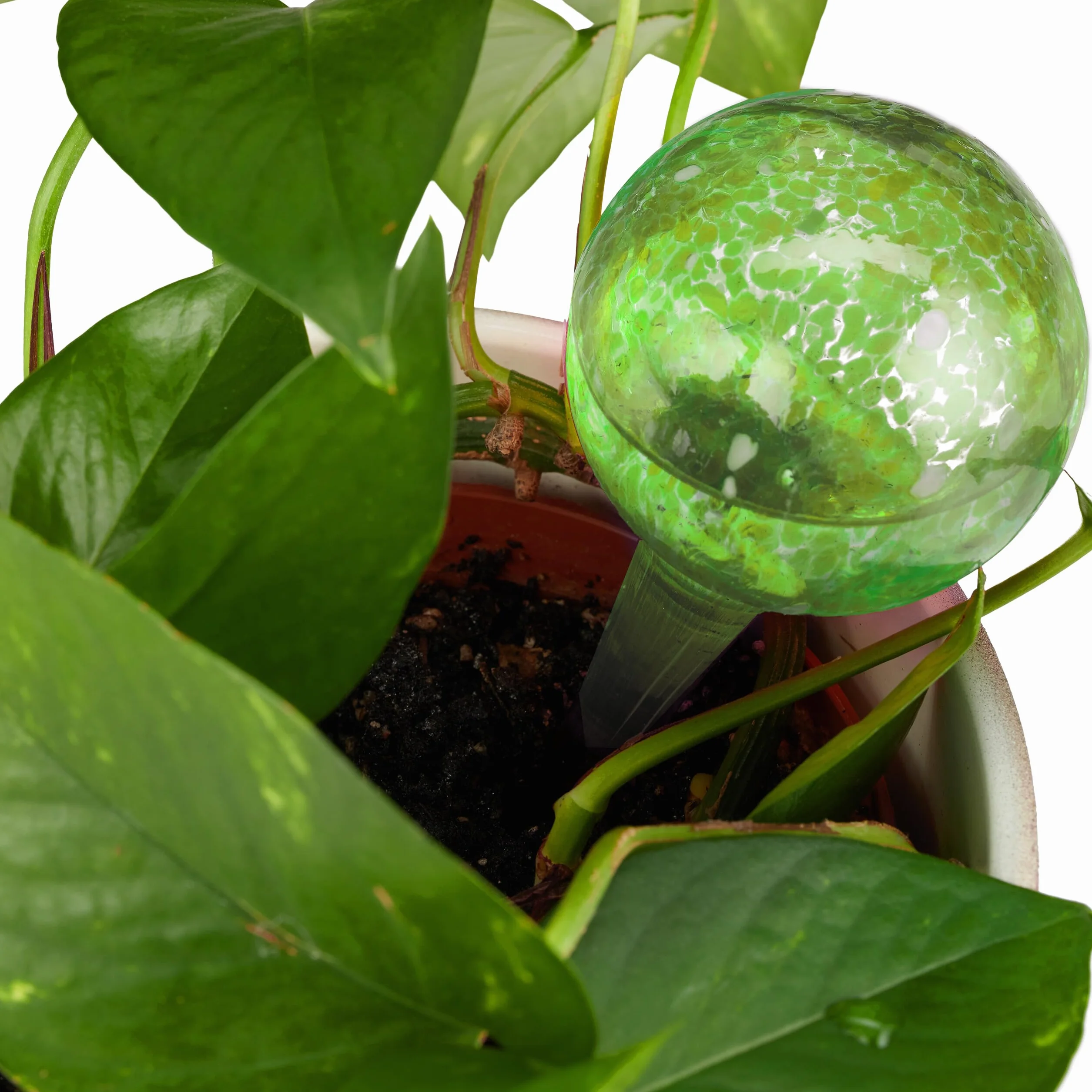 Relaxdays Bulle d’arrosage pour Vos Plantes, en lot Pratique de 4, en Verre, H x D : 15 x 6 cm, Verte