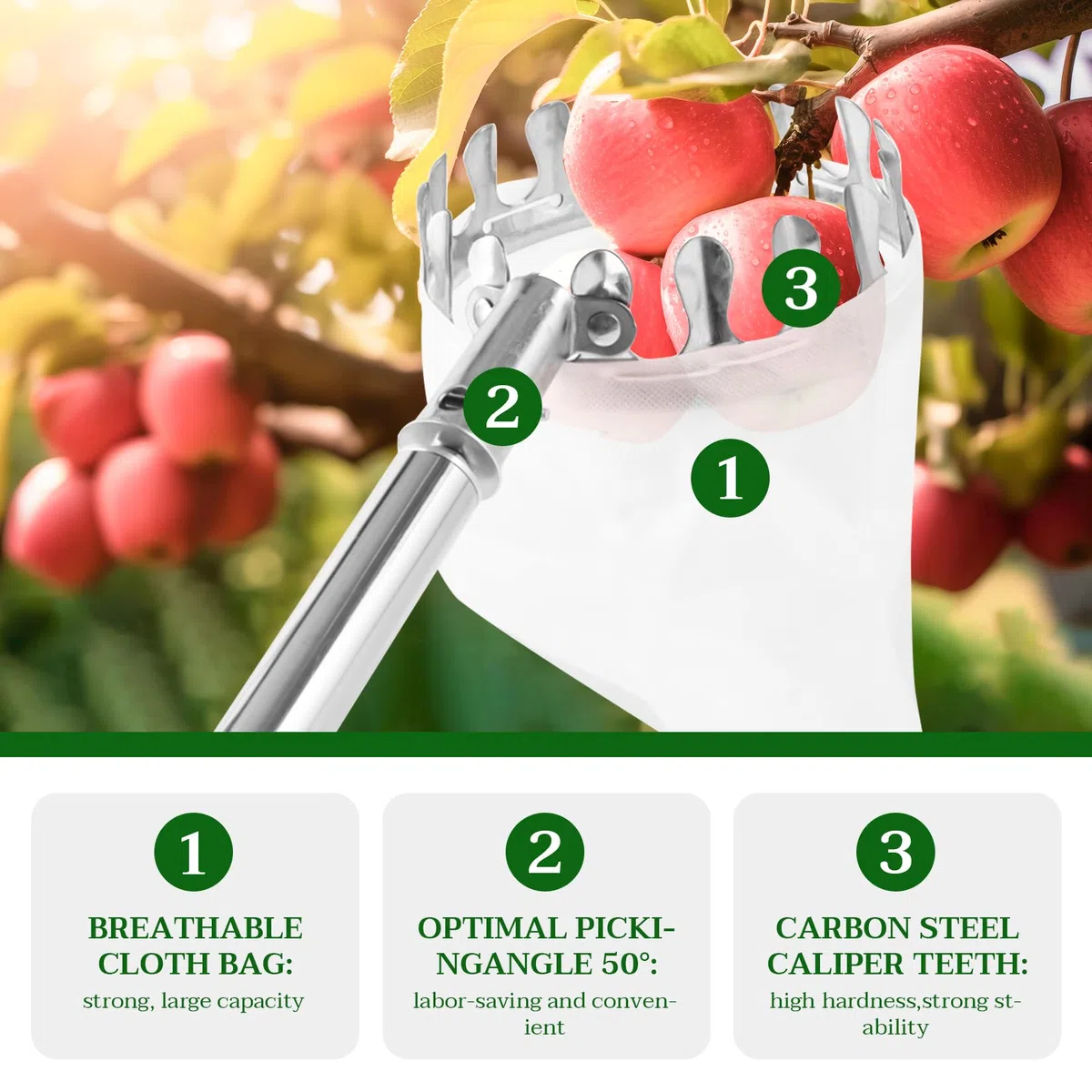 Cueille-fruits 4,2 m avec manche télescopique, en acier inoxydable, longueur réglable, avec sac en coton