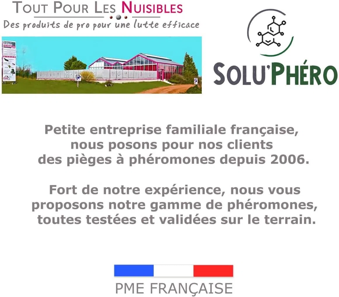 SOLUPHERO - 6 Phéromones Longues durées pour la pyrale du buis - 6 x 200 Jours